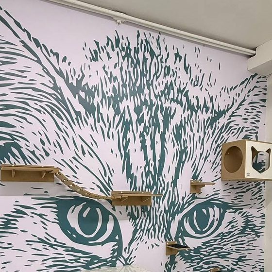 Mural e prateleiras do espaço felino