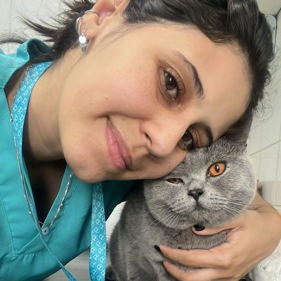 Carinho com um gato durante a consulta