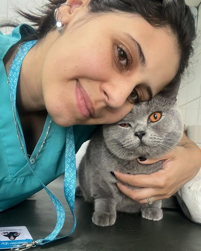 Carinho com um gato durante o atendimento