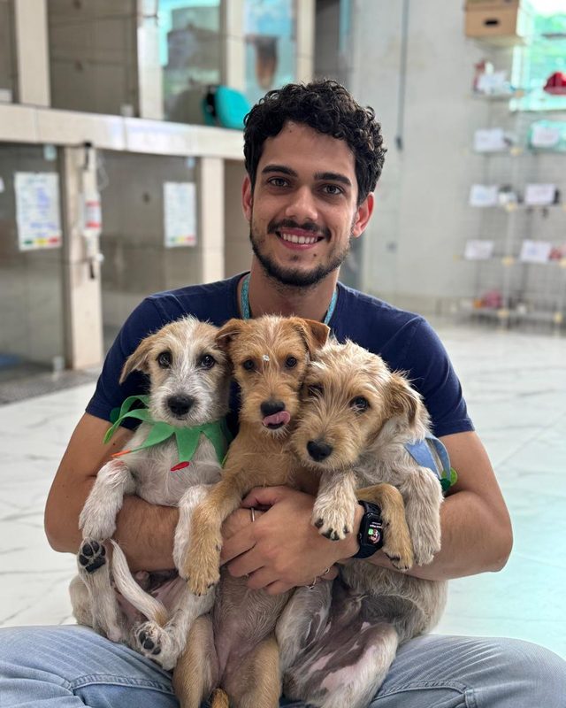 Filhotes acolhidos no hospital