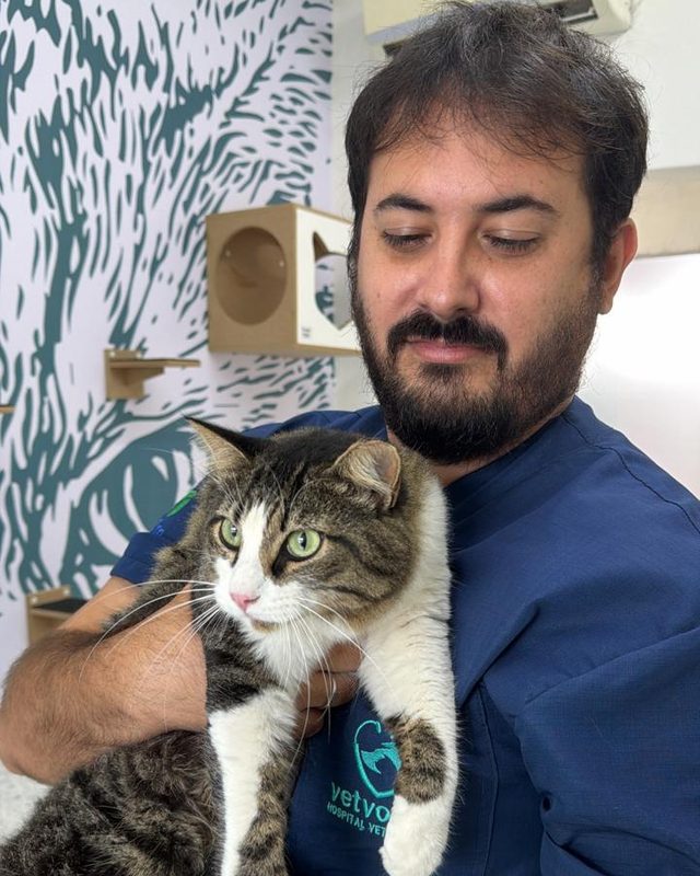 Atendimento no espaço felino