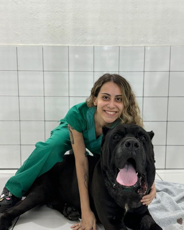 Cão de grande porte bem cuidado