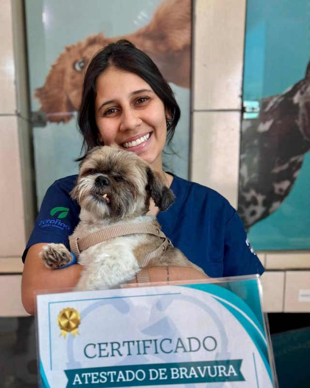 Pet com o atestado de bravura da Vetvogas